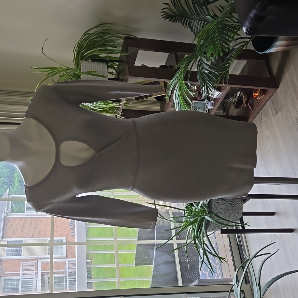 Bebe Bodycon Dress